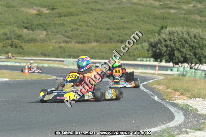 DSC (4113).JPG